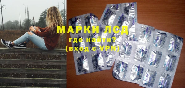 гашик Сосновка